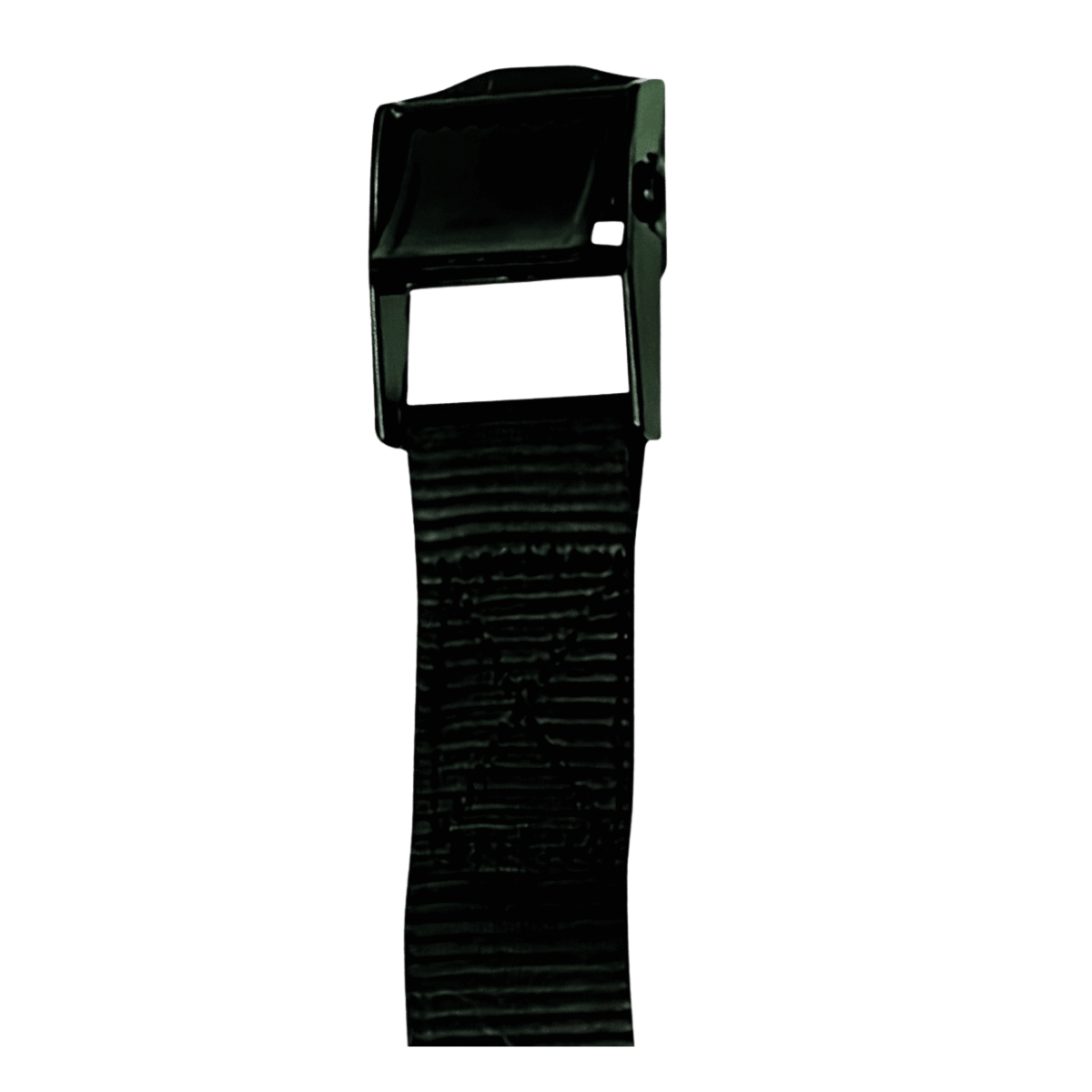 Cam Buckle Tie Down 2m & 3.5m