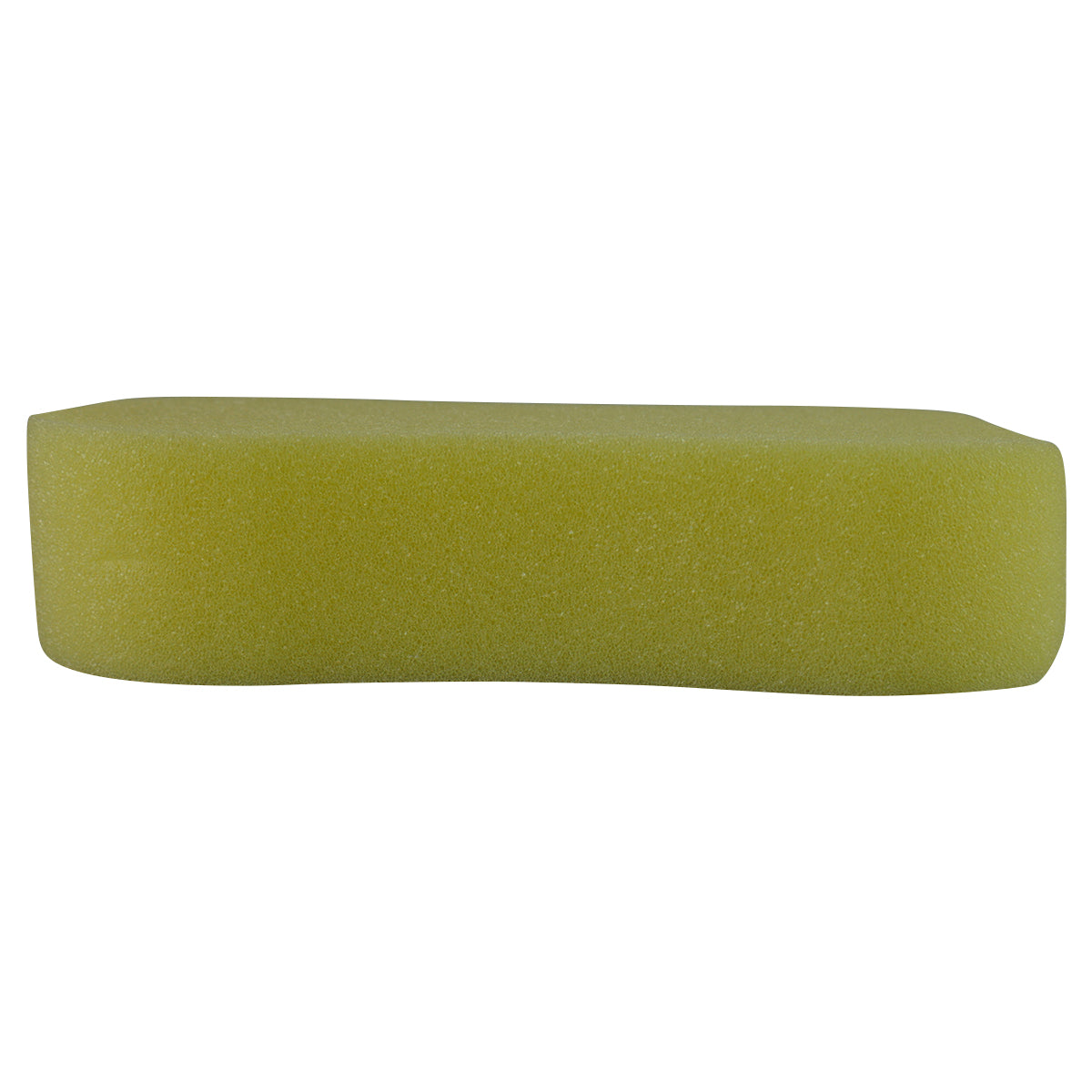 Dog Bone Sponge Small