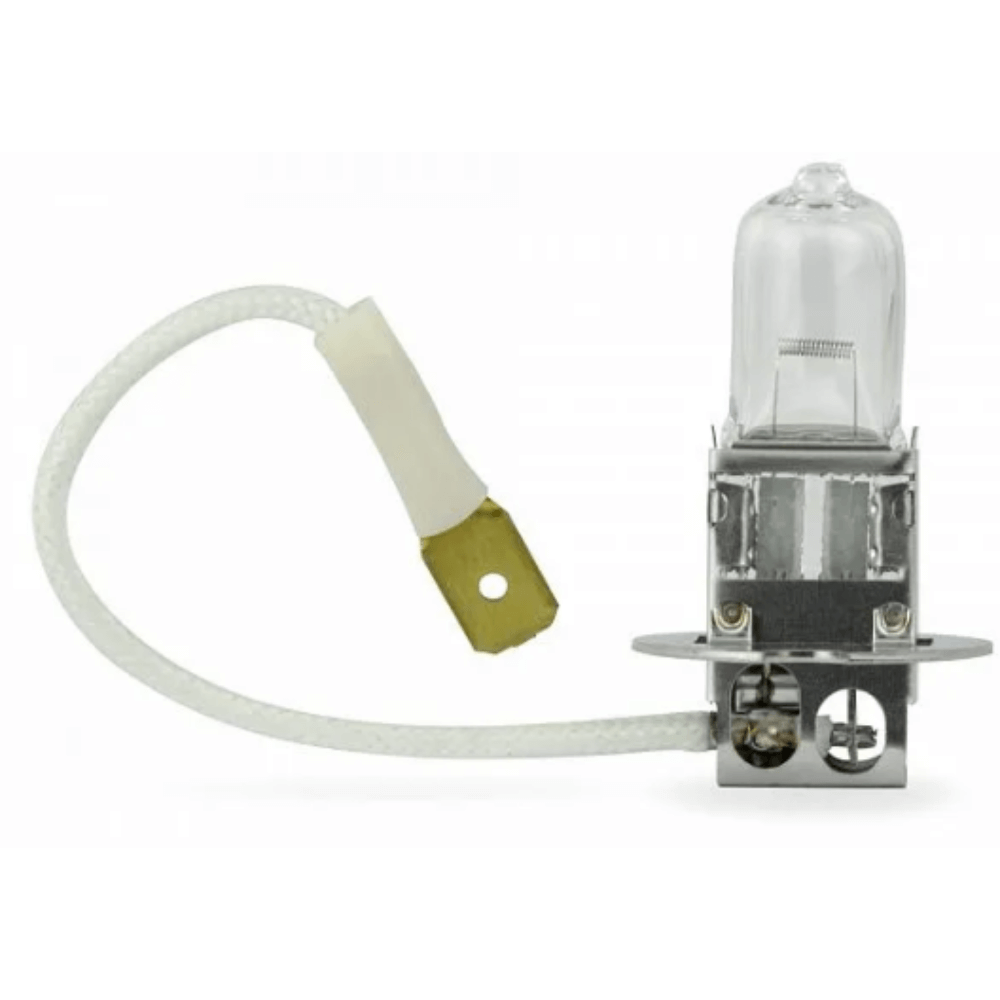 Halogen Globe H3 55W