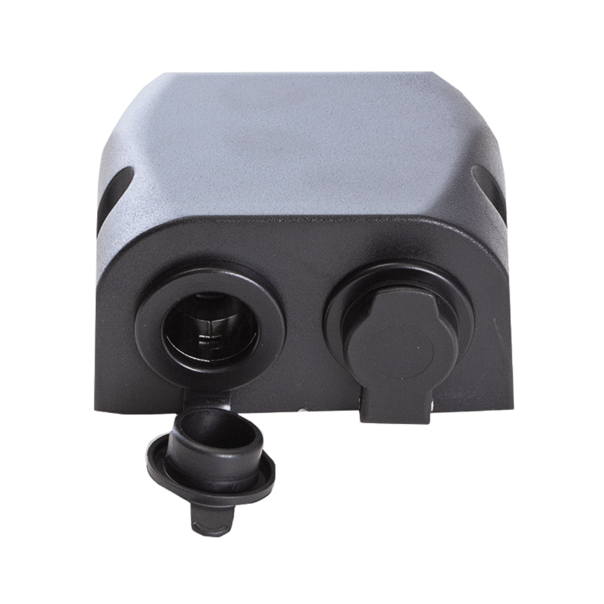 Lion Twin Surface Mount 12/24V Power & Merit Sockets