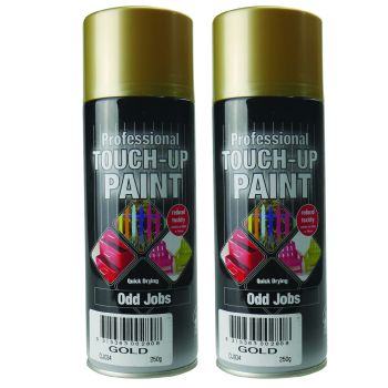 250G Gold Odd Jobs Quick Drying Professional Touch-Up Paint